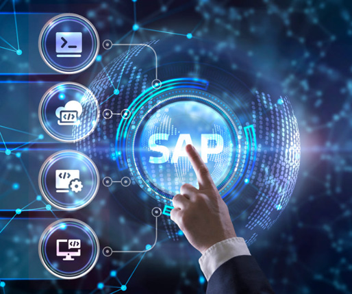 Our SAP Services